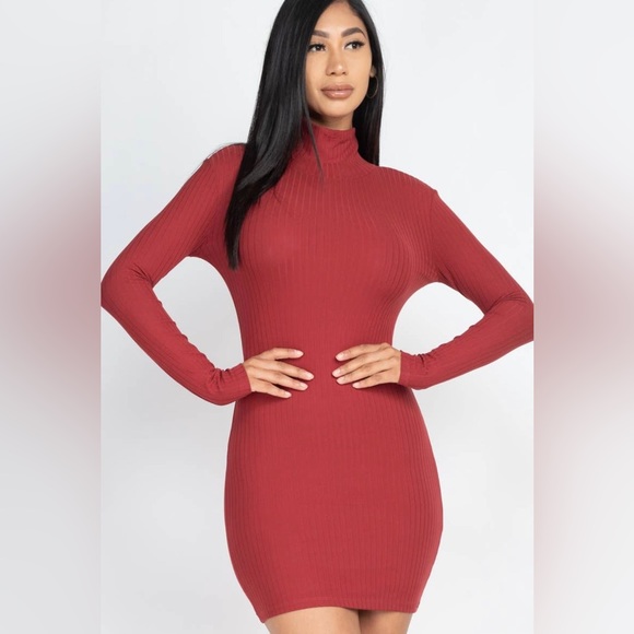 Long Sleeve TurtleNeck Dress - Picture 1 of 1